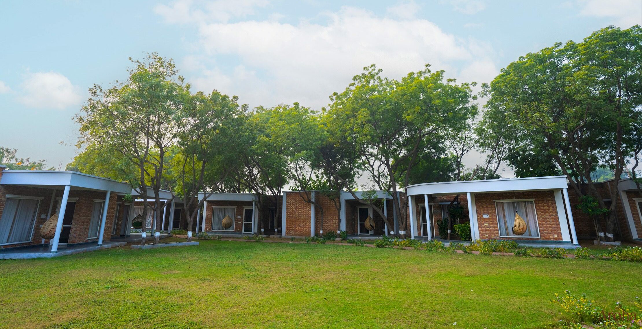 ALI07389-e1703011919225